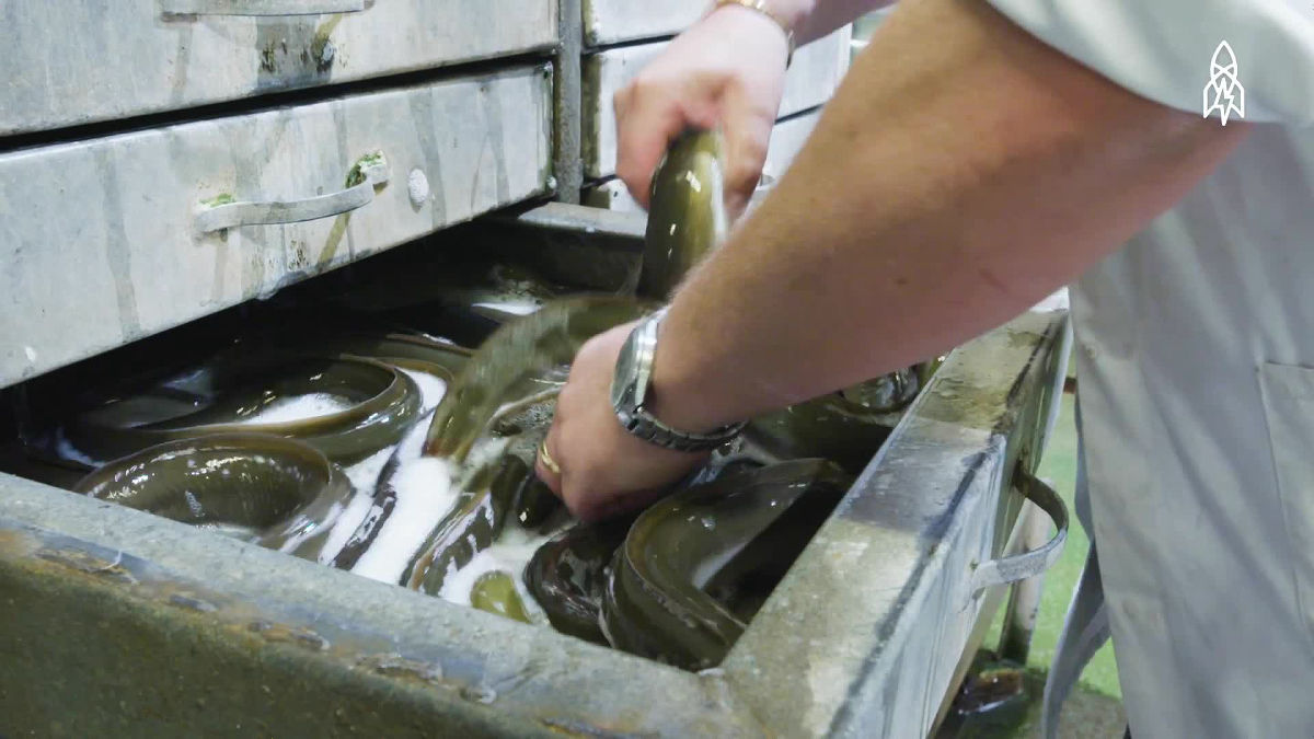 ロンドンで鰻のゼリー寄せを食べるならM.Manzeで決まり！ イギリス人のウナギ料理– 英国アンテナ