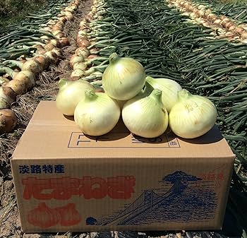 淡路島の甘い玉ねぎづくし!麺乃匠 いづも庵とNo.1のオニオンビーフバーガ