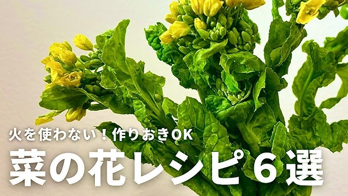 菜の花の粒マスタード和え, 本当は洋からしで作りたかったのですが, 切らしていたので粒マスタード和えになりました,結果、ツンとくる辛さもなくってこれなら, お子ちゃまたちも食べられると思います👧🏻👦🏻, 洋からしお持ちなら試してみてくださいね♪,美味しいと思います！, もやしも油揚げも入って具沢山に仕上がっています, 菜の花の季節にぜひ😉,,材料作りやすい量,