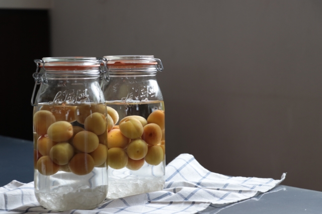 1ヶ月で激変した梅酒の経過観察MASAMI＠夜ごはんの話