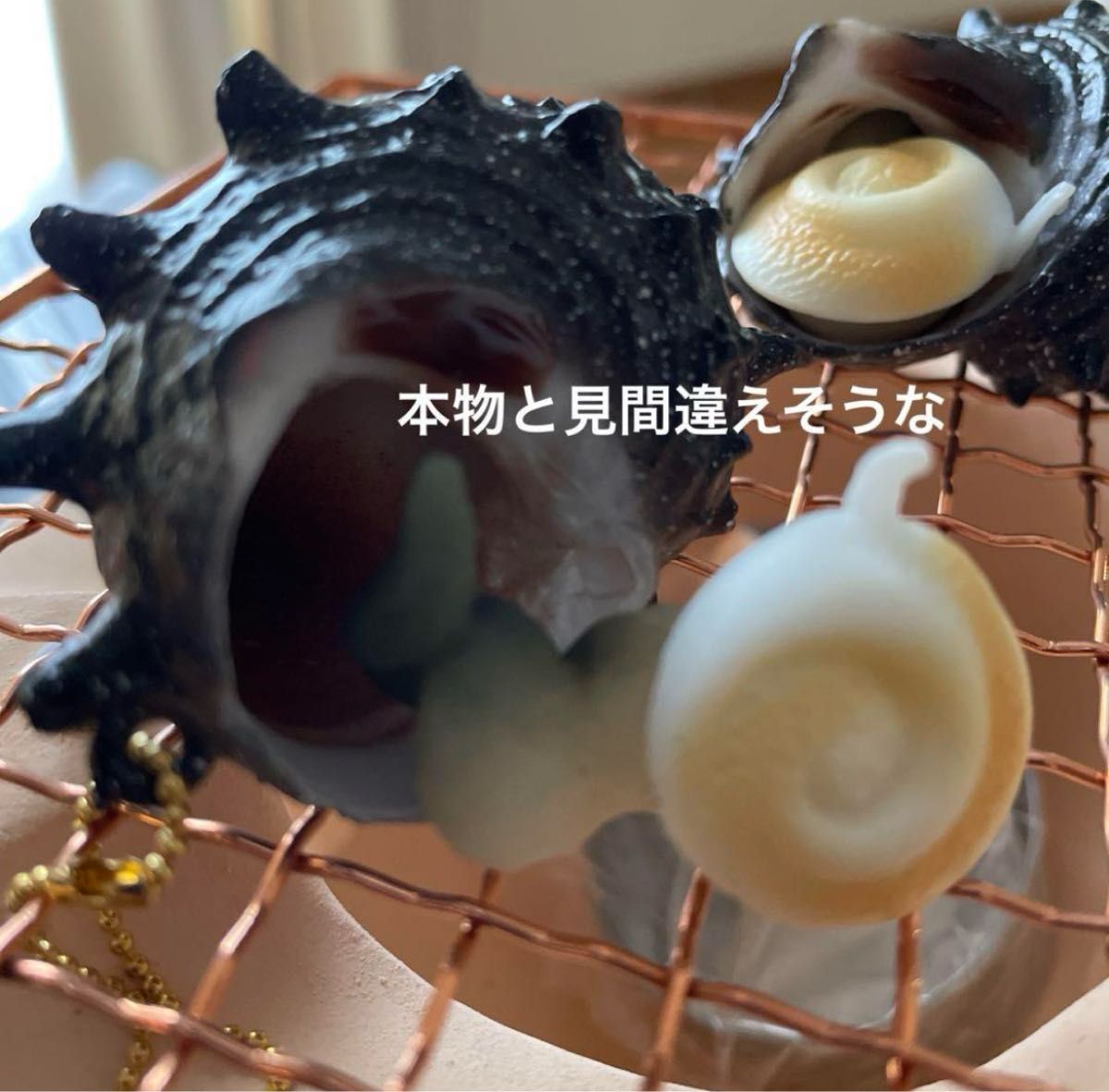 貝マスコットのガチャガチャを開封してみた結果