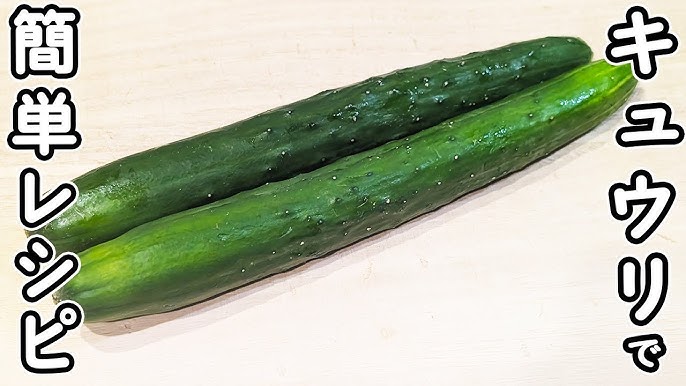 家事ヤロウ ギャル曽根「無限きゅうり」VS 相撲5兄弟 お腹いっぱいバトル 2023年8月8日Daily Cookbook