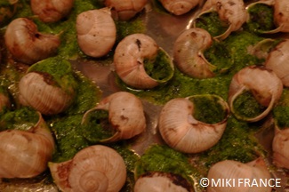 暗い背景にバターとスパイスで焼いたカタツムリ ソースで焼いたカタツムリ ブルゴーニュ エスカルゴ カタツムリ フランス料理のグルメ食品コンセプト長いバナー形式のトップ ビューPremium写真