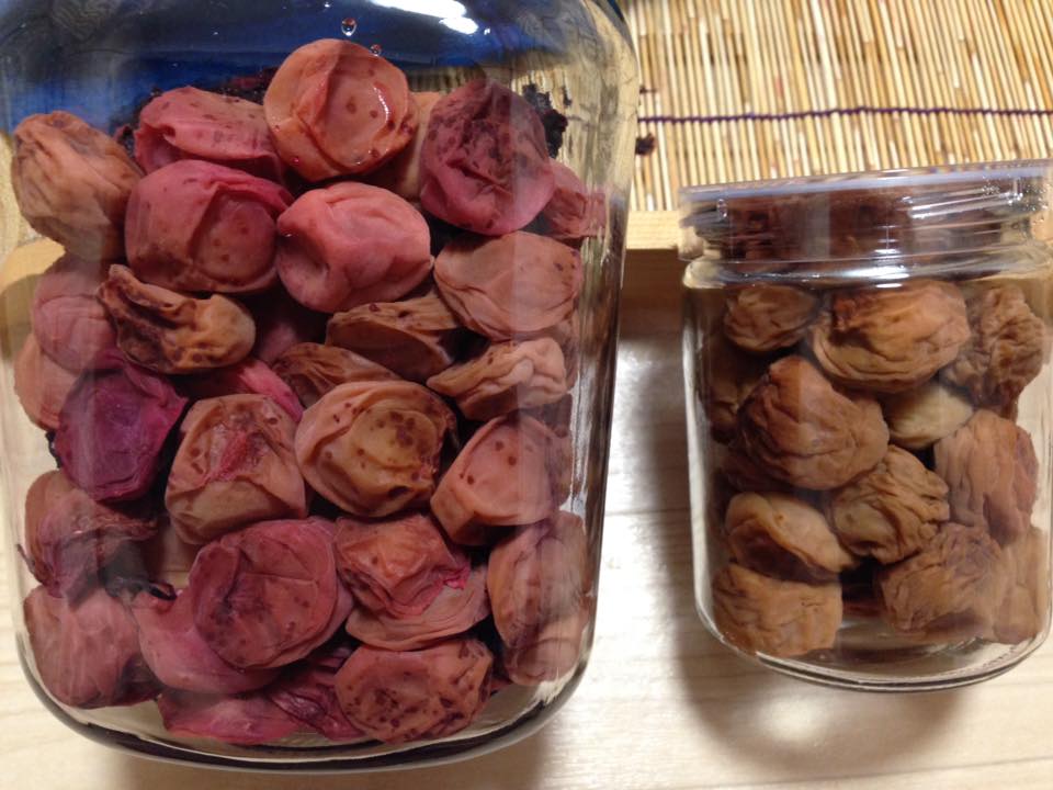 梅講師直伝３３♪梅酒の梅でドライフルーツ