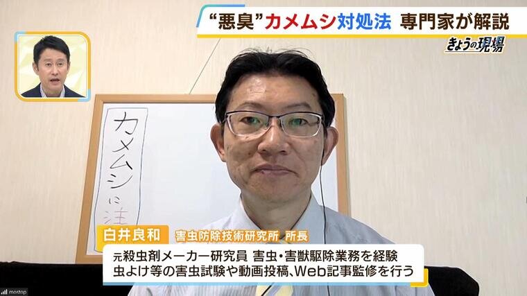 熊本で本番(基盤・円盤・NN)ありと噂のあるデリヘル11店を調査！料金や口コミ評判から本番事情を解説 - 風俗本番指南書