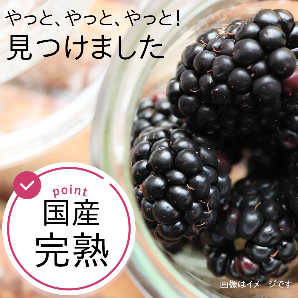 岩手県産 完熟ミックスベリー ブルーベリー・ラズベリー・ブラックベリー
