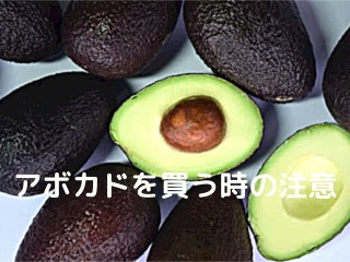 どうやったらアボカドの木を枝分かれさせられるの？ : r gardening