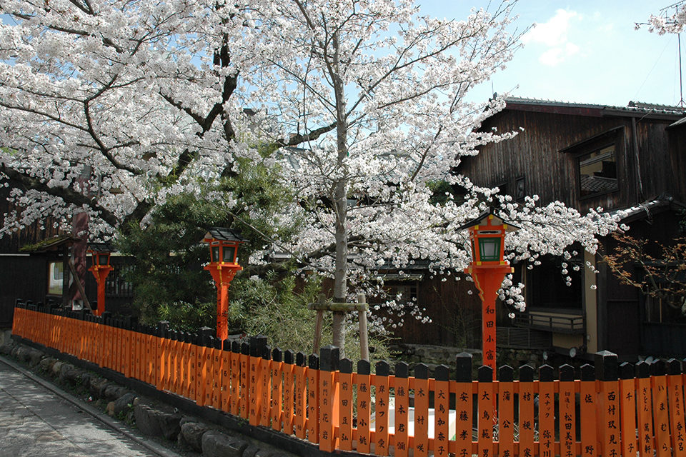 下鴨・北白川・平安神宮のおすすめ食べ歩きグルメランキングTOP3 観光地