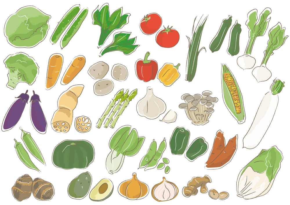 お野菜たち無料イラスト素材素材ラボ