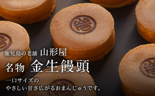 カステラ焼箱根まんじゅう 20個まんじゅう 饅頭 マンジュウ カステラ かすてら 白あん 和菓子 和風スイーツ 和スイーツ わがし お菓子おかし おやつ 常温 お饅頭 贈答 ギフト 送料無料 神奈川 箱根 - 神奈川県箱根町ふるさとチョイス - ふるさと納税サイト