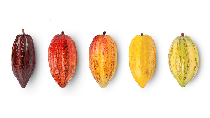 図録▽甘いもの好きの国際比較