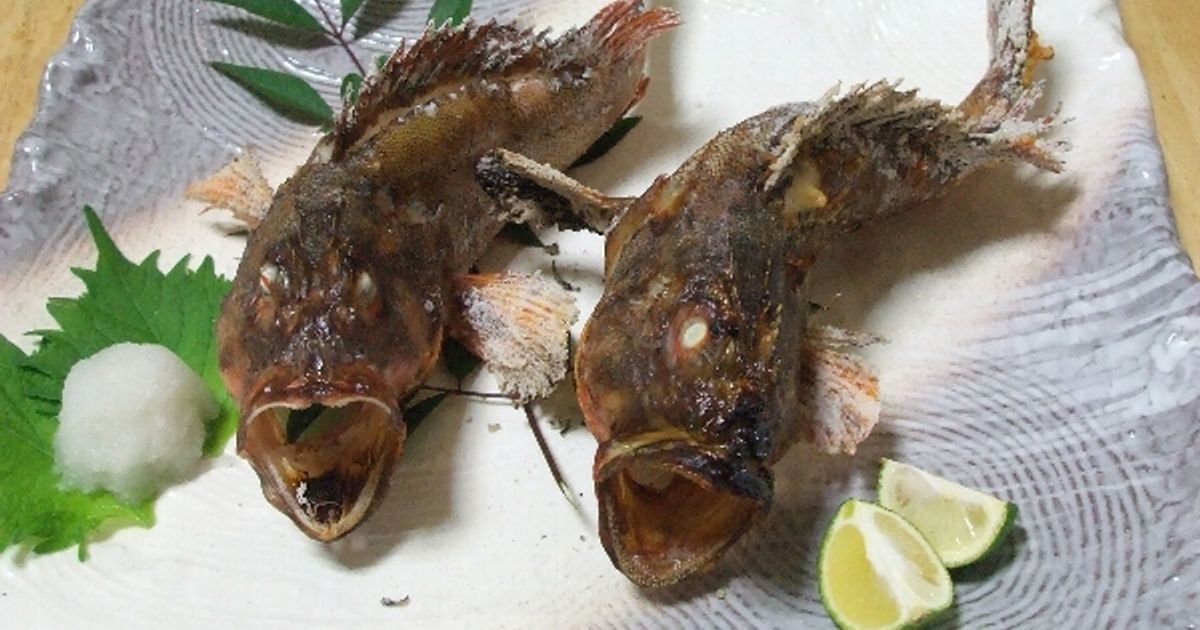 ちょっと高級感♪「カサゴの塩焼き」