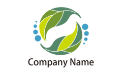 キャベツをスーパーで買う時の選び方「これが正解」SUNMARK WEB