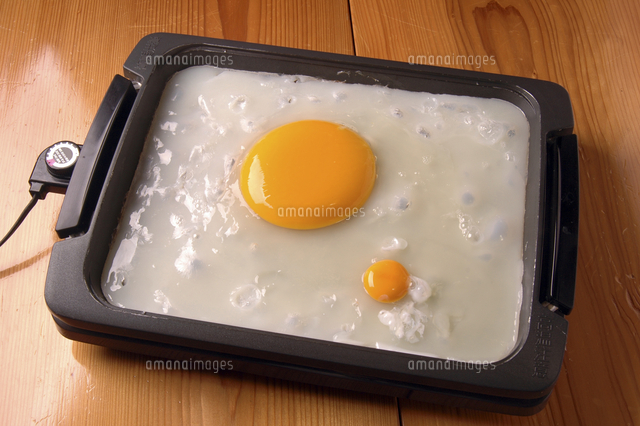 ダチョウの卵を使った卵料理の魅力