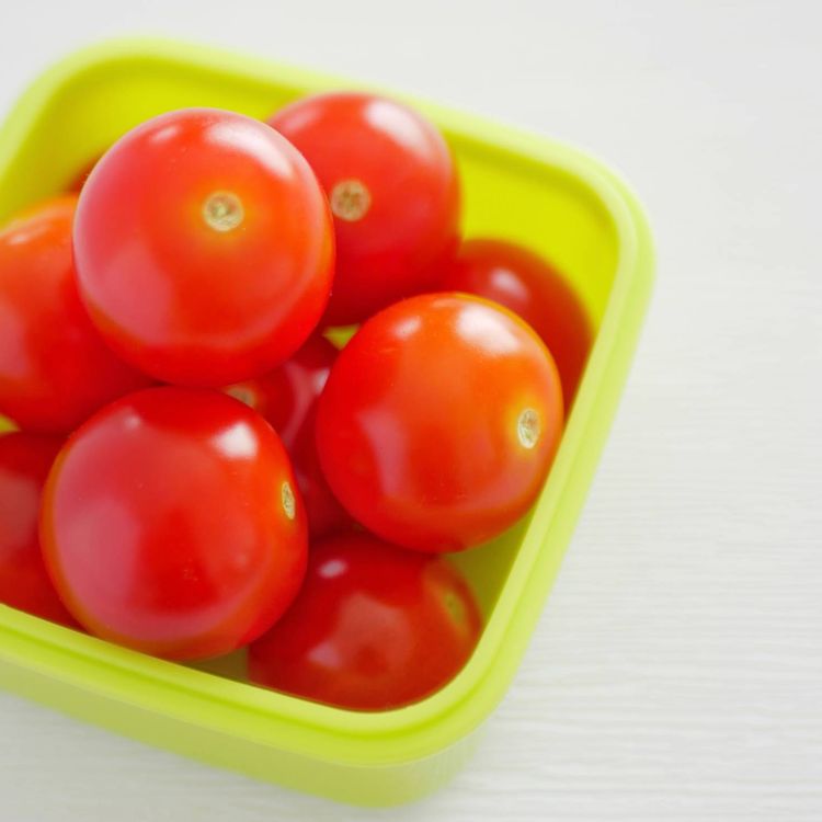 お弁当の食中毒を防ぐには?「カレー粉で殺菌」「トマトのヘタは取る」「冷凍食品を保冷剤代わりに」専門家に聞く名古屋・愛知・岐阜・三重のニュース CBC newsCBC web1ページ