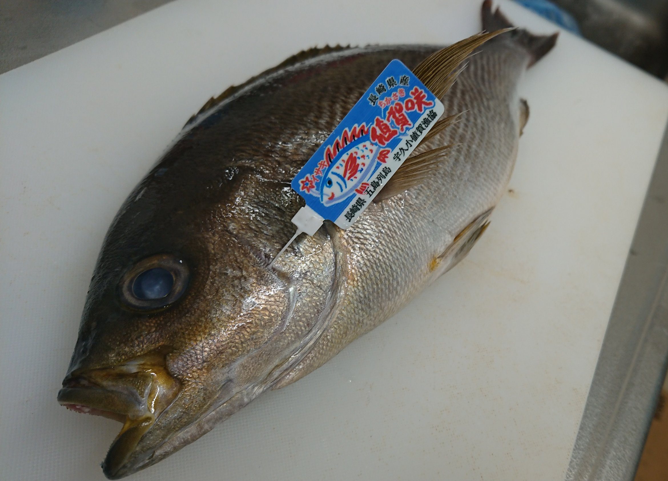 イサキ 伊佐幾 みなとの野菜大辞典