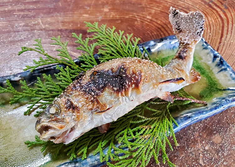 ポン酢醤油でいただくニジマスの塩焼き