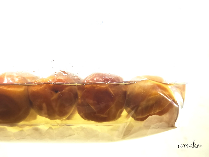 ジップロックで漬ける 梅シロップ第７回オレペ連載の話 - BOKUの簡単ンまい～ブログ