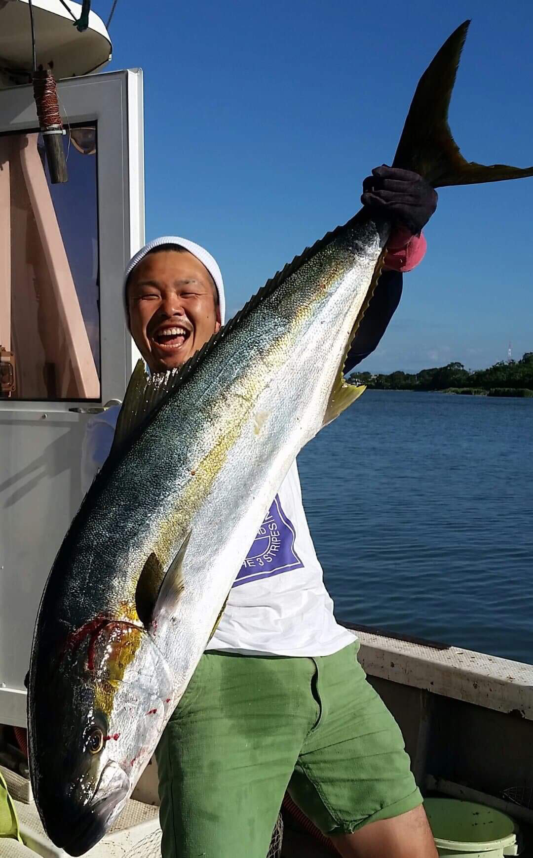 初夏から夏にかけて美味しくなる魚介類は? 魚介類の旬カレンダー - ウェザーニュース