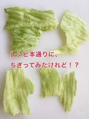 基本からアレンジまで!思わずつくりたくなる「レタス ちぎり方」のレシピ集クックパッド