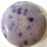 宝石みたいなフルーツゼリー アガーレシピ富澤商店