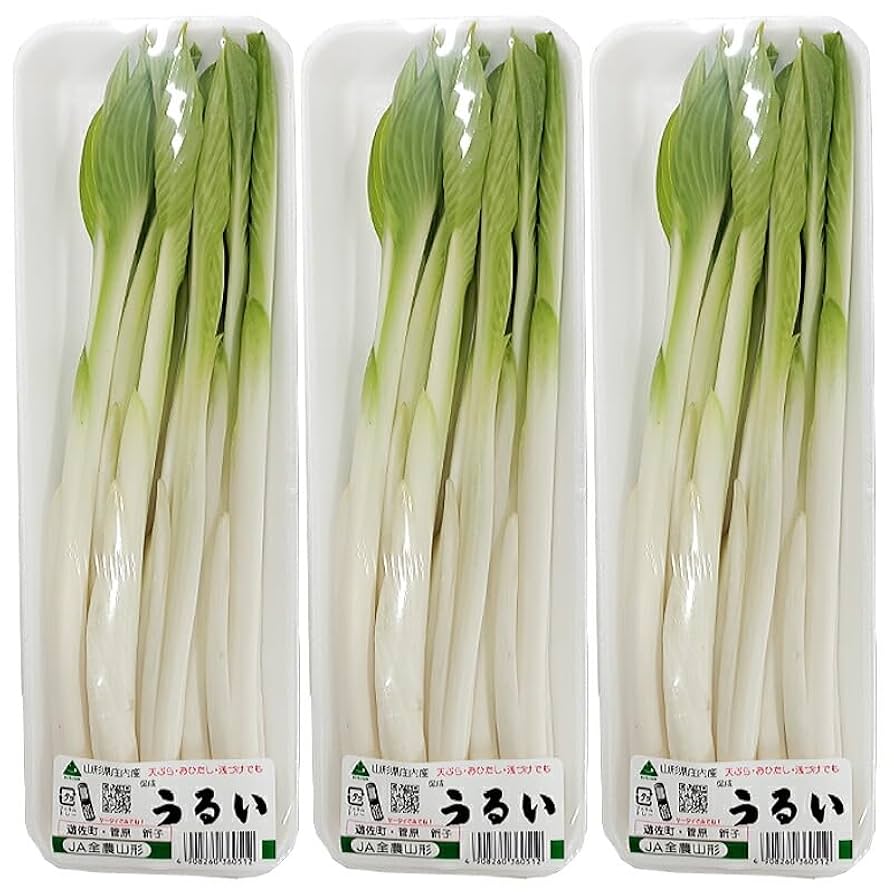 №034〜うるい〜 うるい栽培農家 丸山良治さん食文化プロジェクト-鶴岡の食文化を紡ぐ人々ユネスコ食文化創造都市・鶴岡