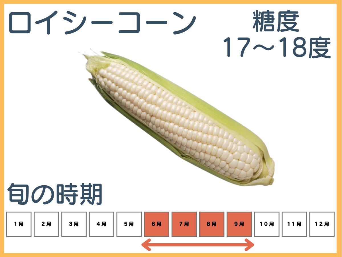 北海道産特大白いとうもろこし10本 2Lサイズ北海道大地の恵み市場