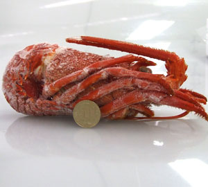 冷凍のロブスターを調理する方法: 11 ステップ画像あり- wikiHow