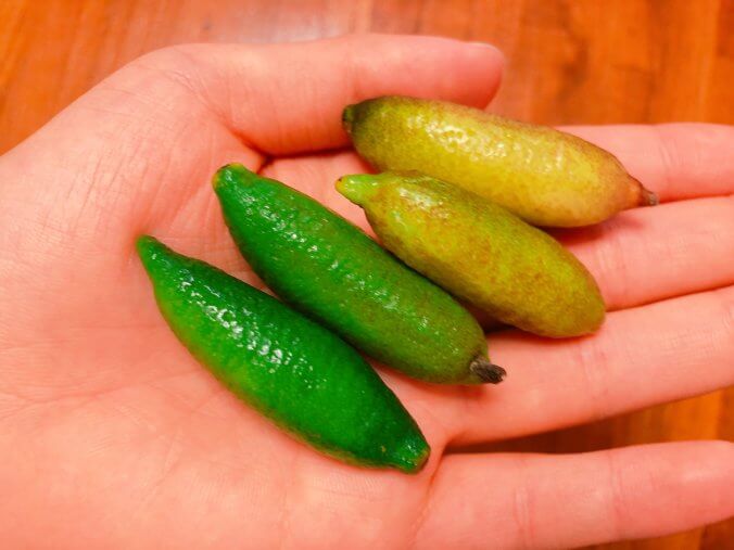 世界で食べられる珍しいフルーツ！カンボジア海外旅行・シェムリアップ便り from アメミル