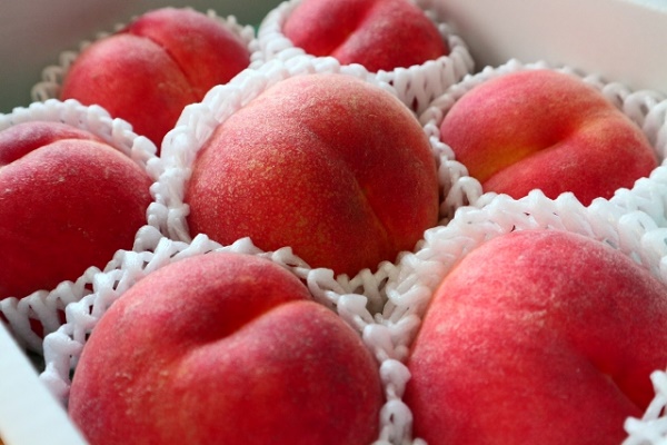 余った桃で作る！砂糖なしでも美味しい桃ジャムの作り方産直プライムブログJA連携！産地直送通販なら産直プライム