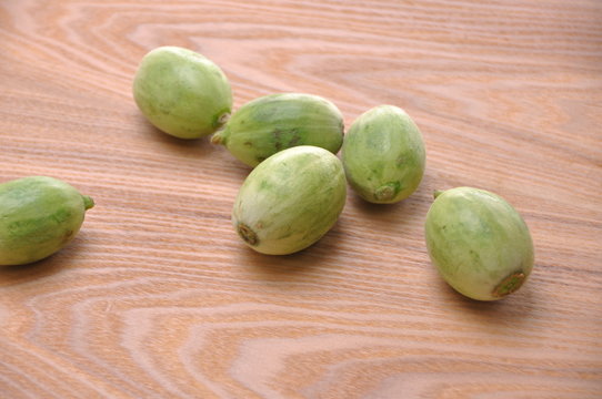 かっぱのモロキュー LL スパイスミックス かえるのピクルス ナカジマ 2025年最新 かえるのピクルス