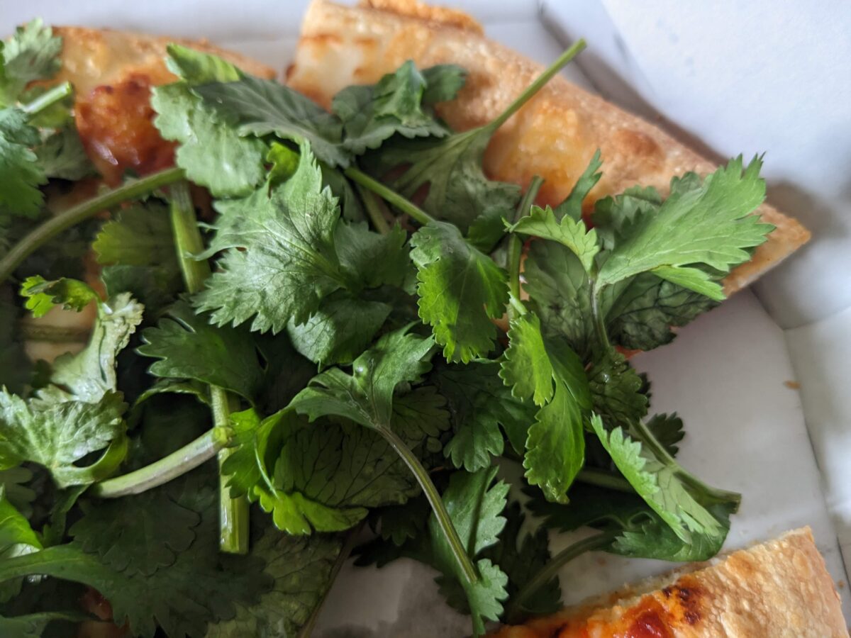 ピザハットの「パクチーすぎて草超えて森」は本当にパクチーが「盛り森」になったのか検証してみた - GIGAZINE