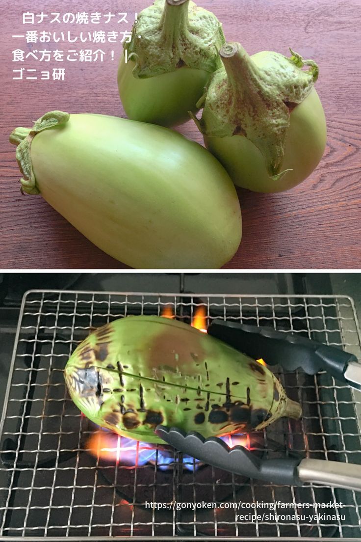 緑色のナスビ 翡翠ナス とは?美〜ナスって何?GOTTSO美〜®️ナスおすすめレシピ大畑大介商店