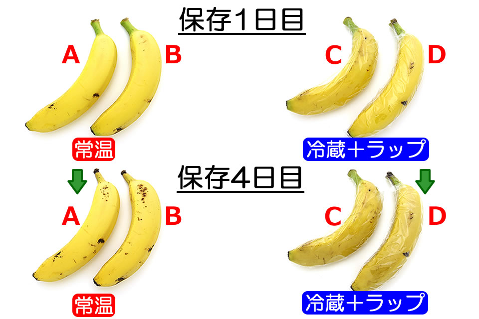 バナナは冷蔵庫で保存しましょう – 小型冷蔵庫 Peltism