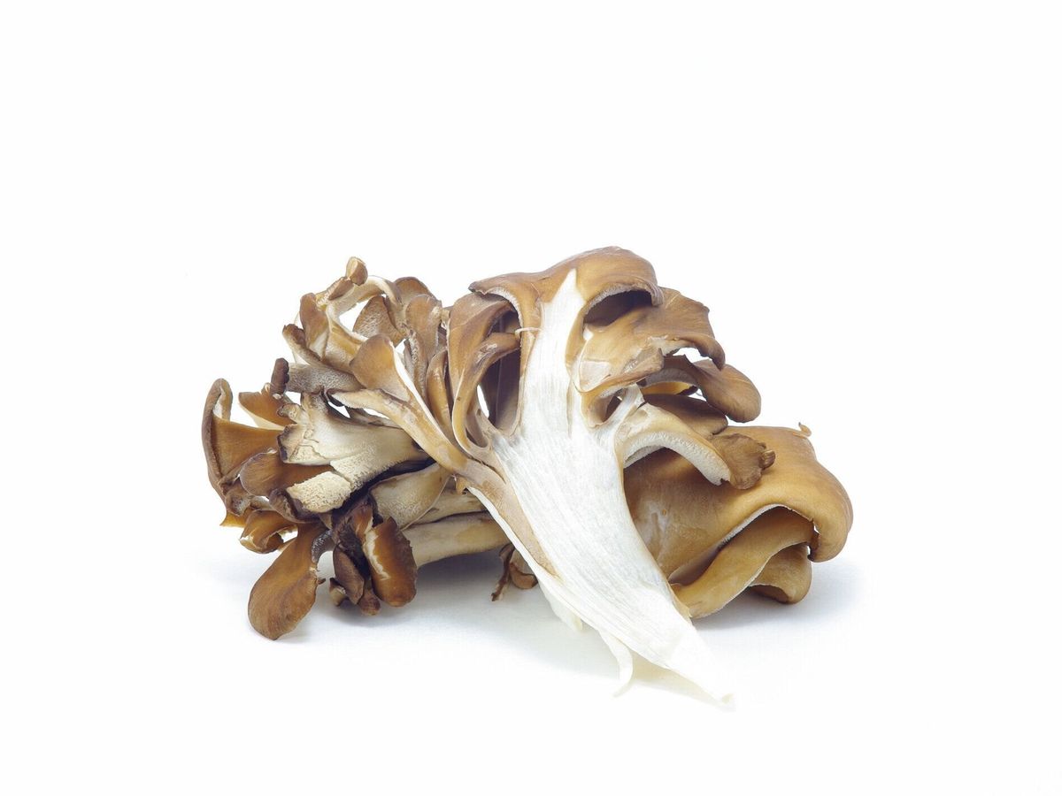 舞茸の冷凍保存 美味しさを長持ちさせる方法ほほえみごはん-冷凍で食を豊かに-ニチレイフーズ