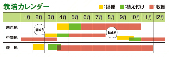 食用アイスプラント プリアン