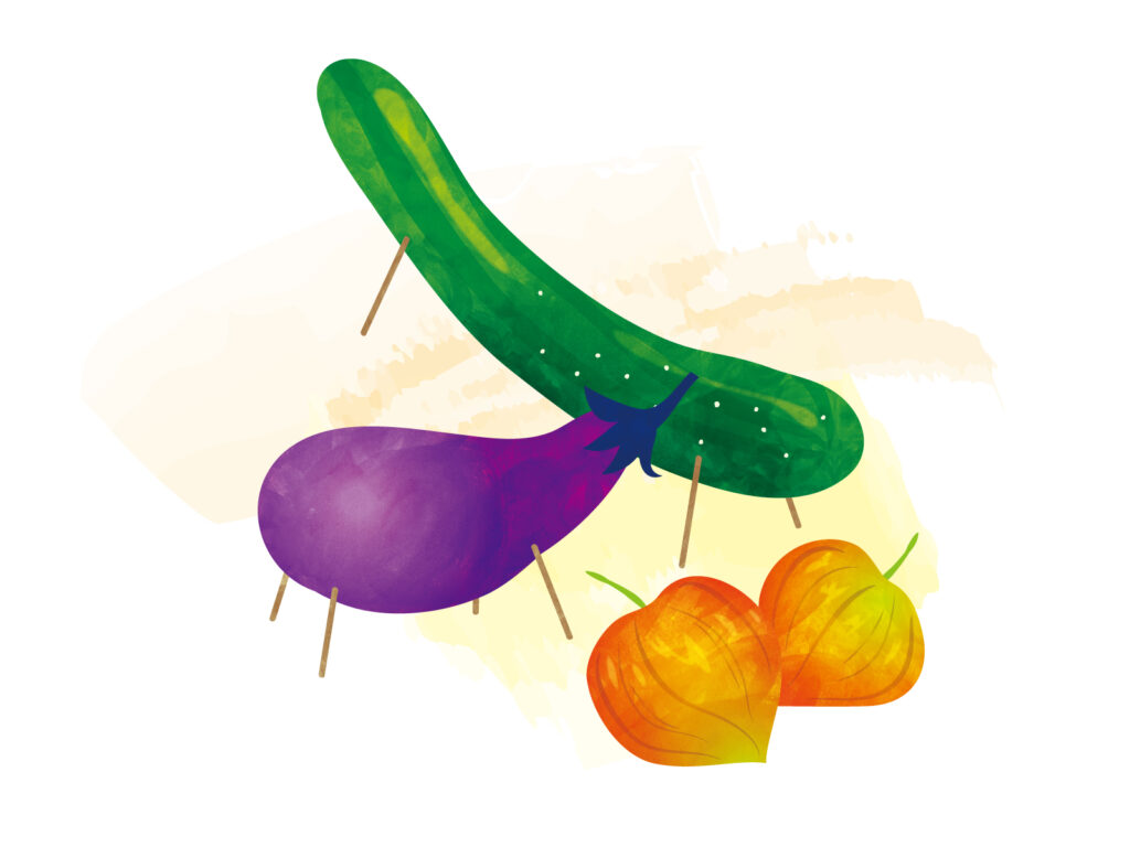 かき氷は？夏祭りは？日本の夏の風物詩、英語で説明してみよう！語学をもっと身近に「ECCフォリラン！」公式サイト