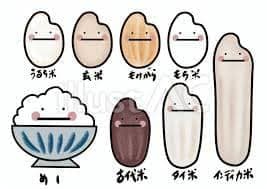 お米のキャラクター：イラスト無料