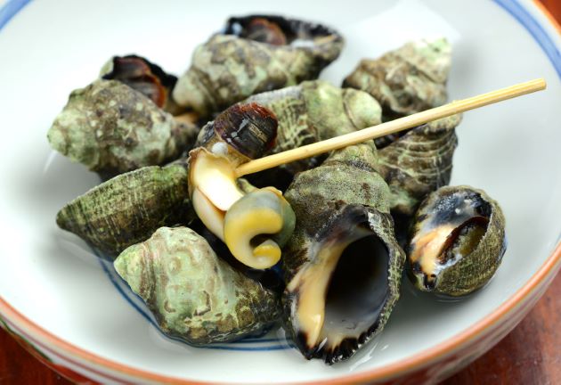 おぢか島暮らしブログ:海の恵み、「ミナ貝」をゲット