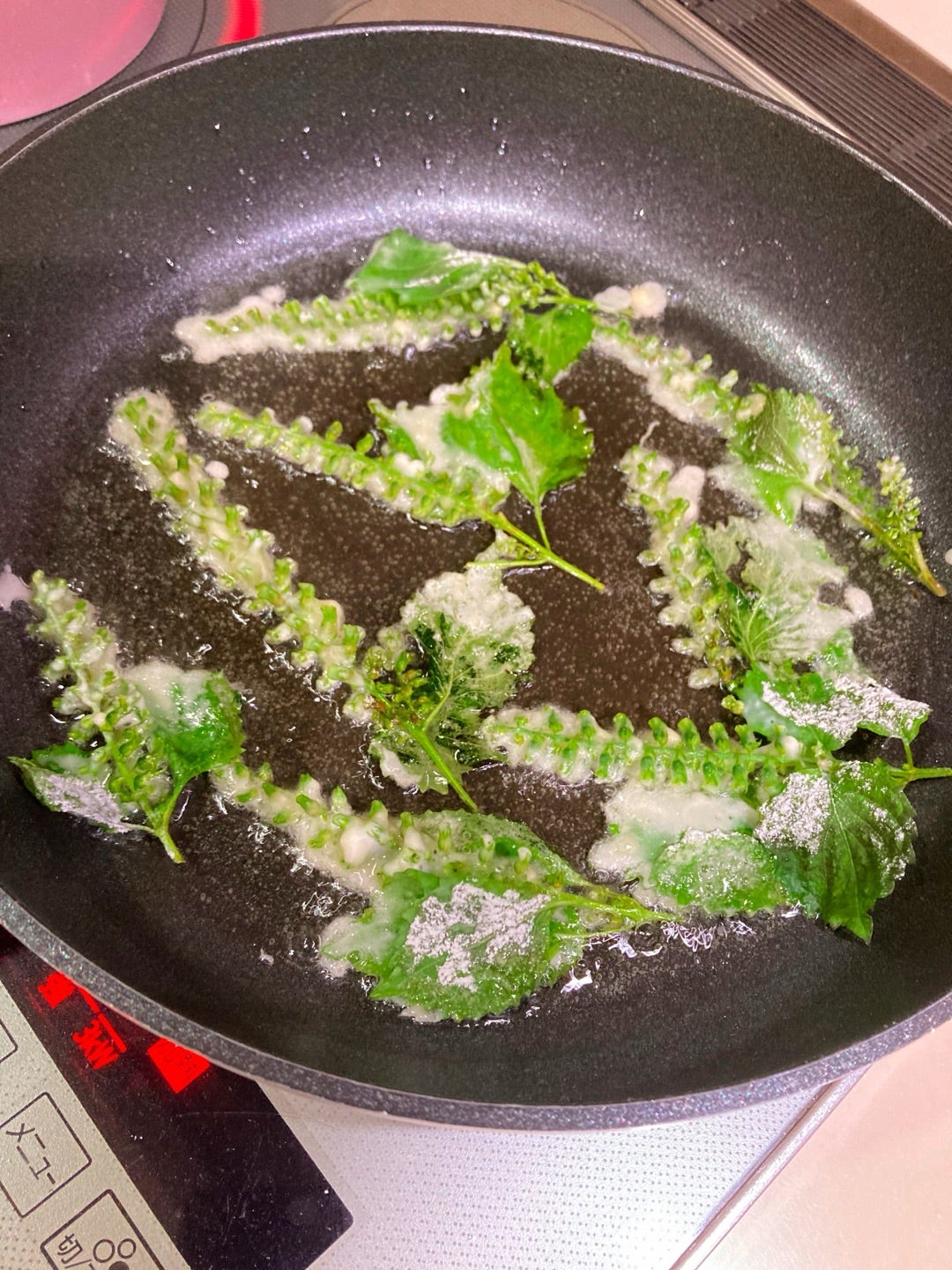 食べれる草40 「クワの葉の天ぷら クワの葉塩」わたらい