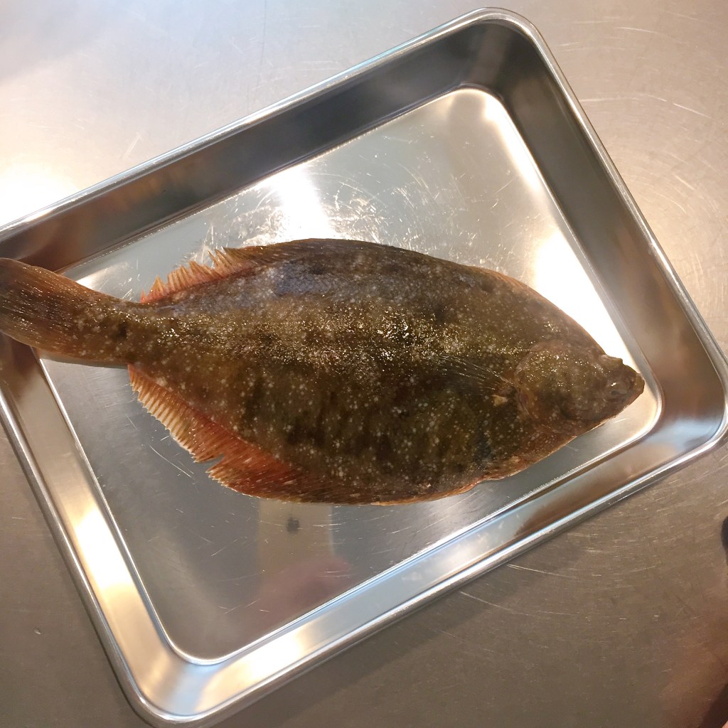 ぎょしょくクイズ むずかしい 東京都「ぎょしょく」のへや