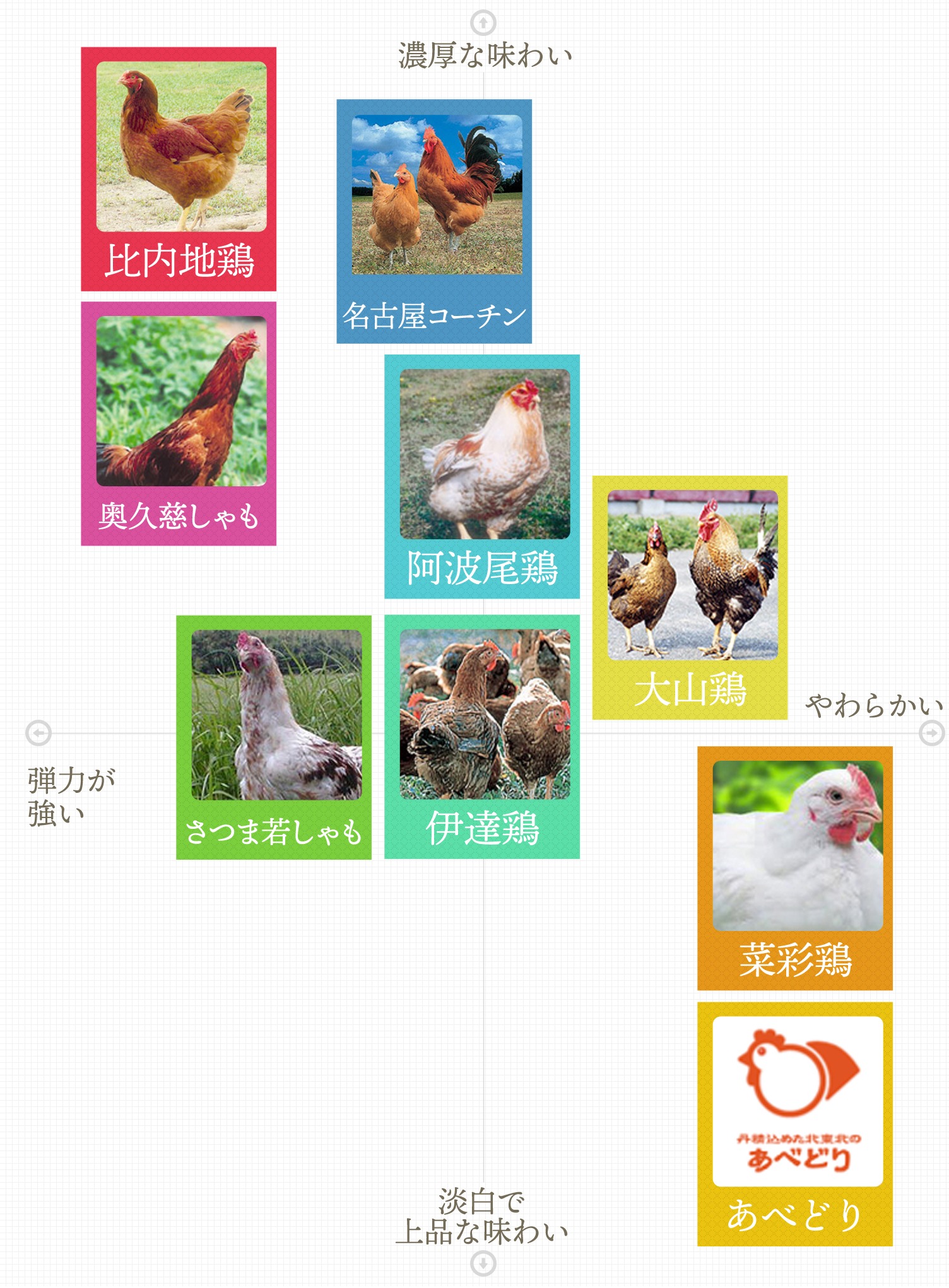 鶏肉の部位のイラストのイラスト素材FYI07949439ストックフォトの Qlean Market キュリンマーケット