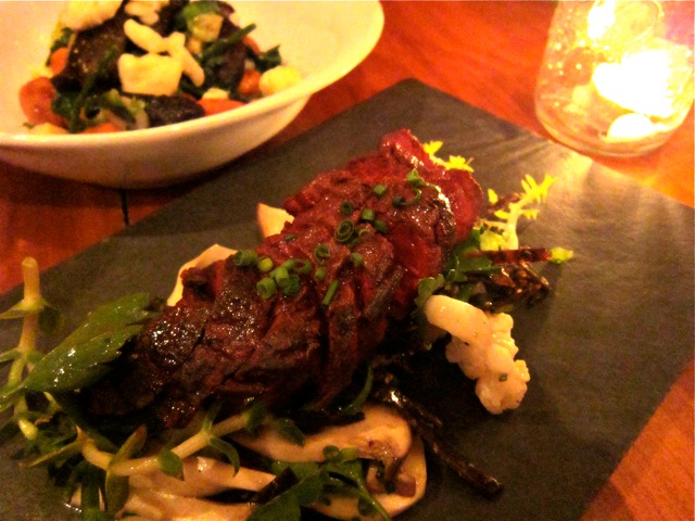 ○カナダのアザラシ猟について*** My Secret Place *** - 楽天ブログ