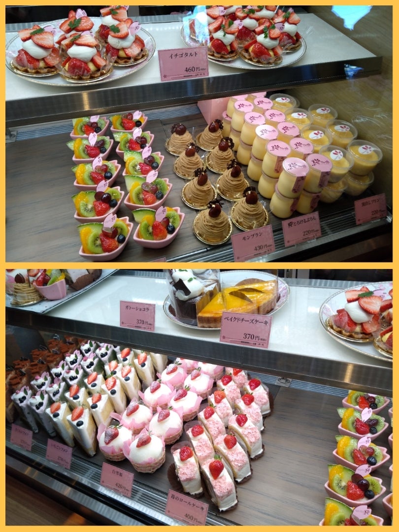 桜珈琲🌸 の『季節のタルト』🍰🍓✨ . 今の季節は、旬のいちごをたっぷりと使用したいちごタルトでした〜！！😆🍓 .下のクッキー生地は甘さ控えめなので甘いのが苦手な方にもオススメで、旬の甘いいちごとの相性が抜群でした！🍓✨ . ボリュームたっぷりでめっちゃ