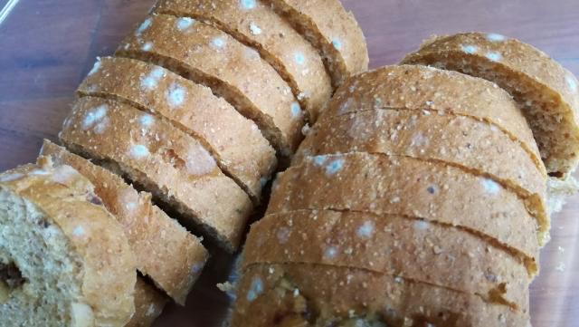 パンに生えたカビを食べても大丈夫！？カビの危険性を徹底解説
