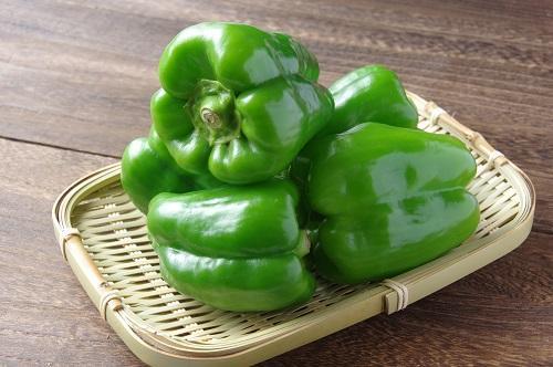 収穫後のピーマンの品質を長持ちさせる保存方法植物を育てる技術