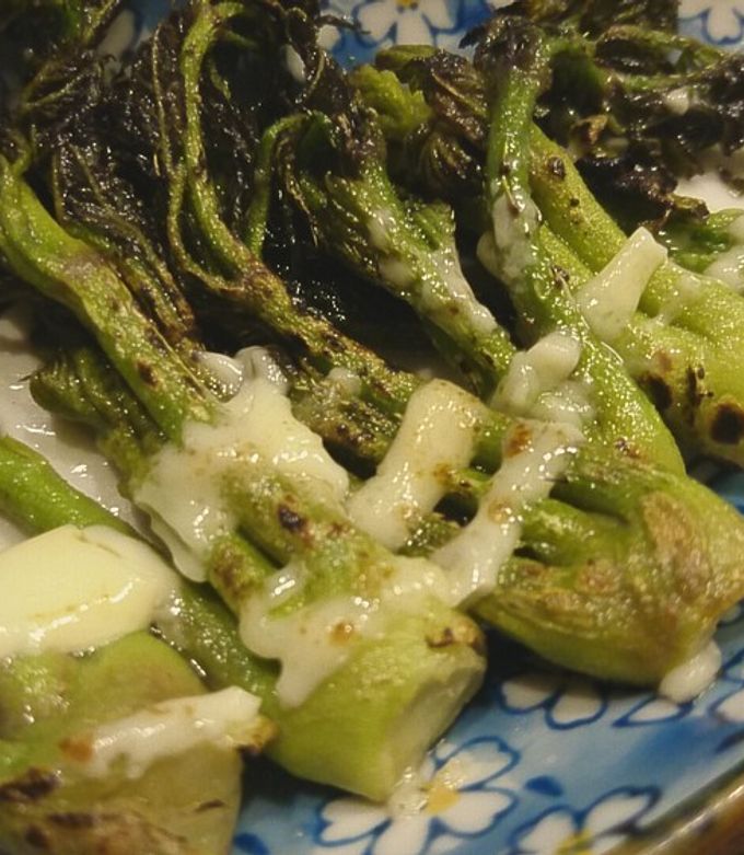 春の味３タラの芽の天ぷら