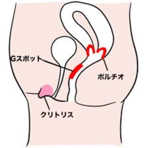 風俗嬢にアンケート】手マンでイカせるテクニックを伝授！絶対NG例も公開！ | Trip-Partner[トリップパートナー]