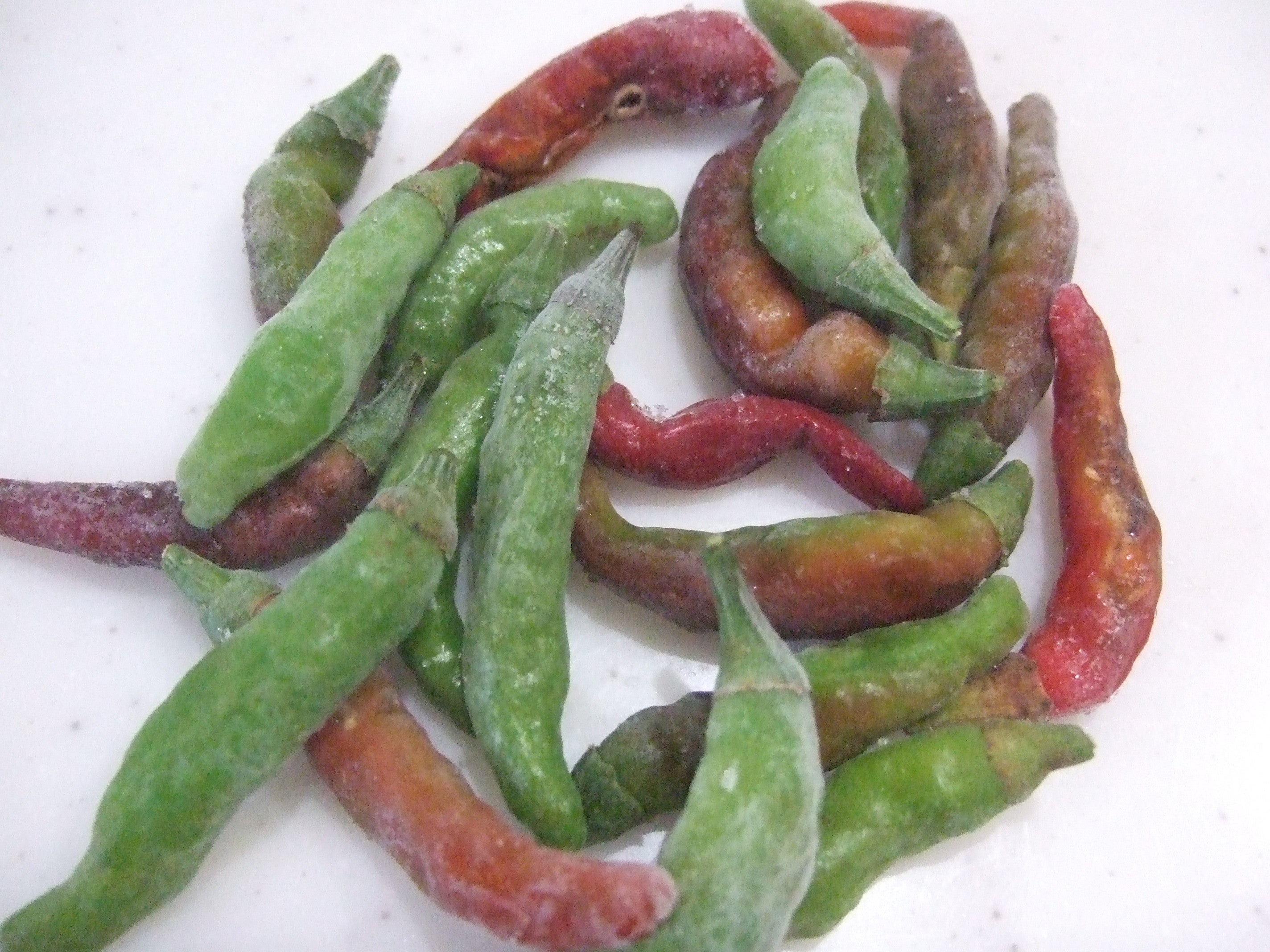 唐辛子 とうがらし 水耕栽培の手順と育て方農家web