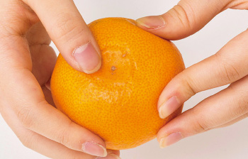 15種類のみかん株式会社かきうち農園